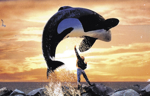 free-willy