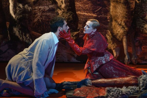 The company of wolves